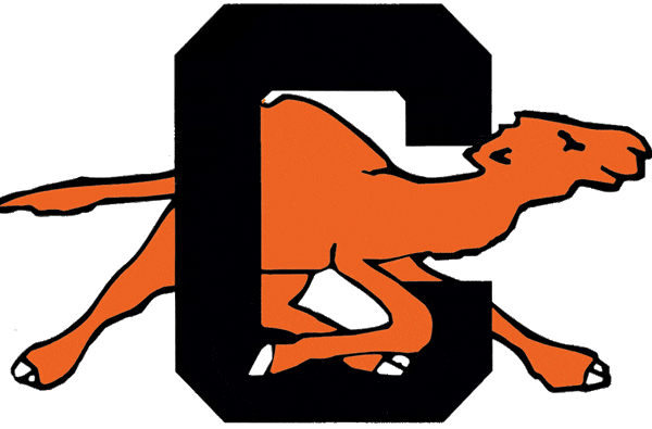 Campbell Fighting Camels 1993-2004 Primary Logo iron on transfers for clothing